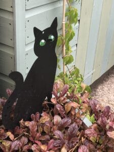 Cat scarer designed to frighten offfeline visitors