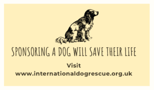 www.internationaldogrescue.org.uk