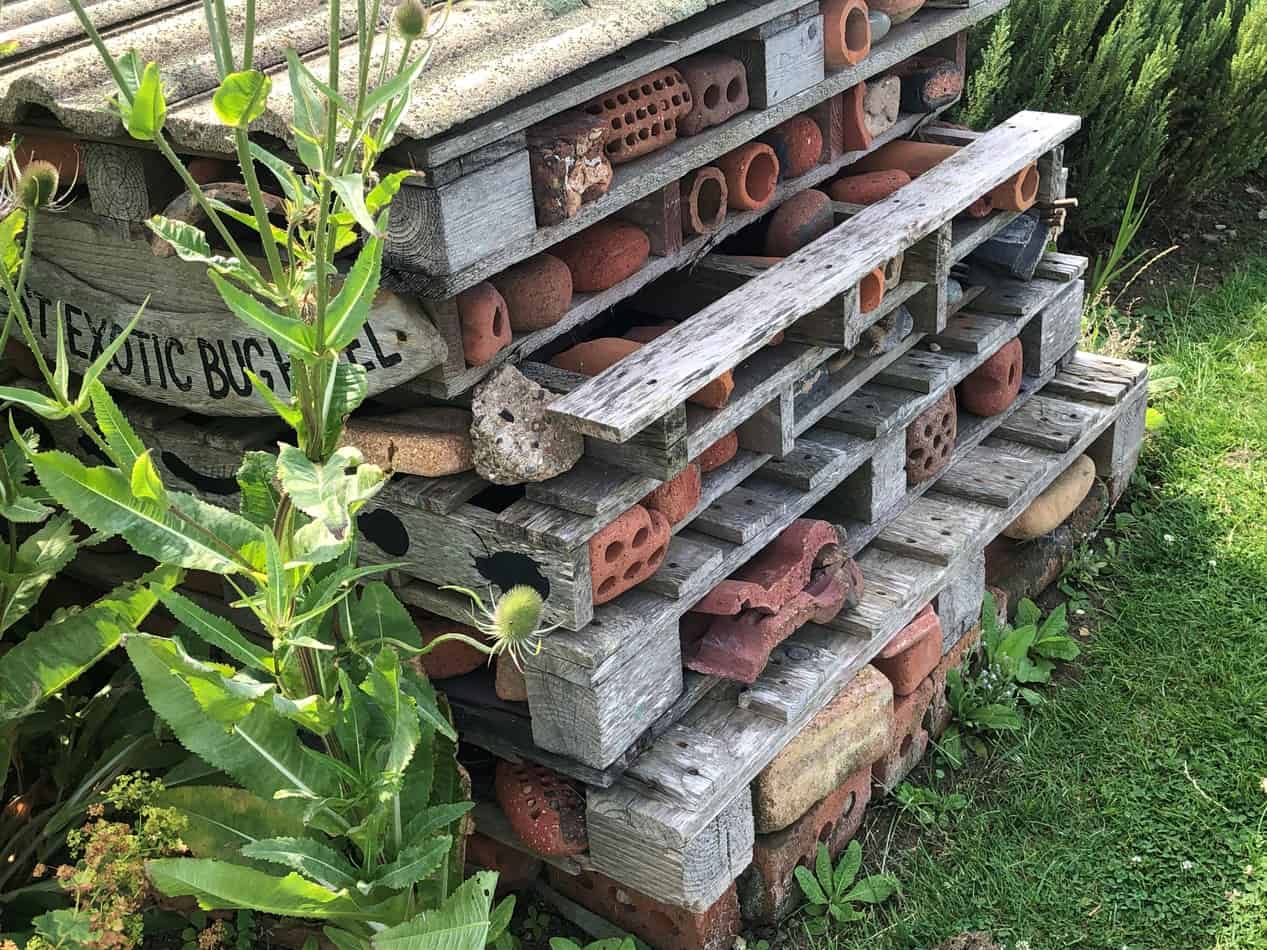 What materials do you need to make a wildlife bug hotel