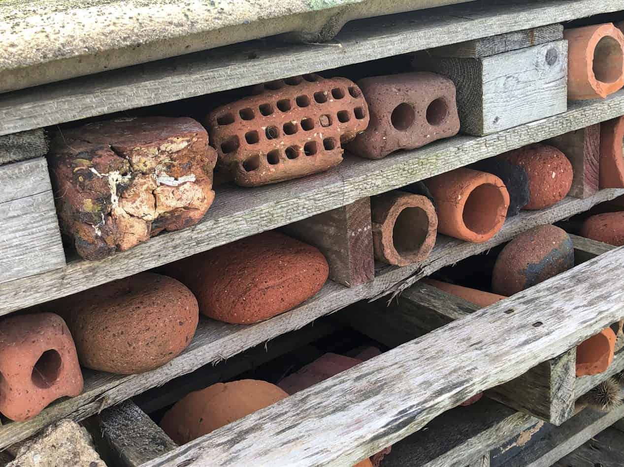 How to assemble a bug house - this bug house can be found in Hornsea