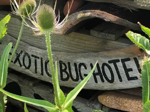 Make a sign for a bug wildlife hotel