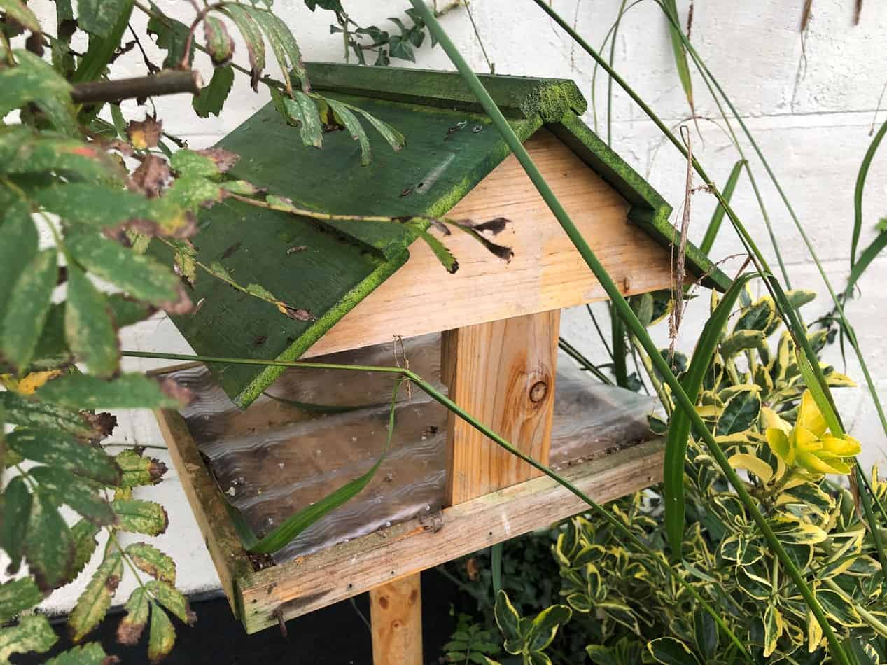 Wilko easy clean bird table is ineffective