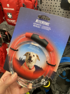 Dogs wearing nigh time walking light to keep them visible