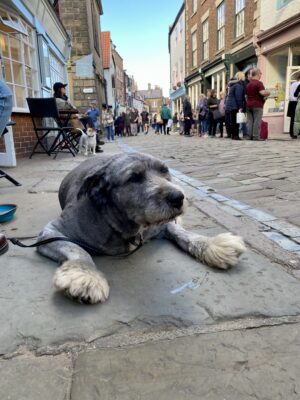 Whitby during the autumn is better for dogs