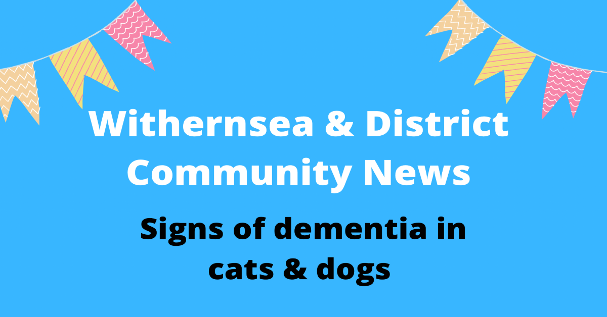 What are the signs of dementia in cats and dogs