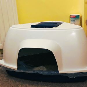 recommended litter tray for cats with arthritis