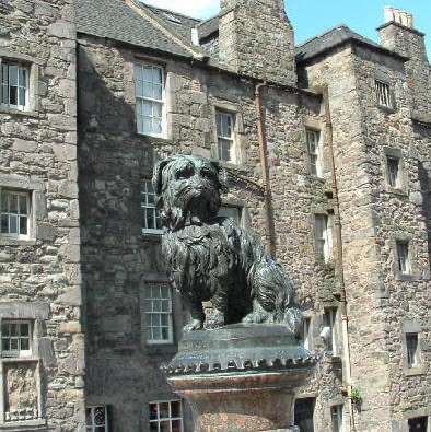 Greyfriars Bobby lay by his master's grave for 14 years