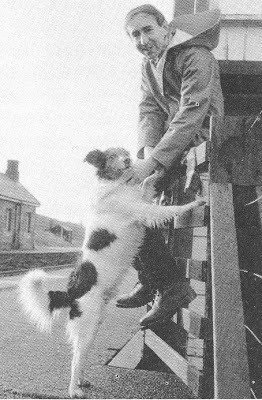 Ruswarp the border collie remains by his owner's body for 11 weeks