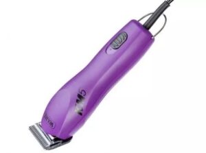 Wahl Km5 for professional intensive grooming and home dog grooming