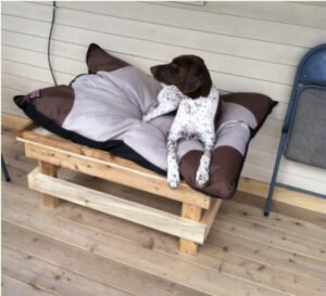 make your own dog bed