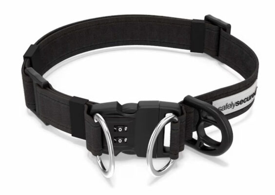 Anti-theft collar with combination lock for extra large dogs