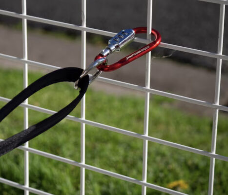 combination lock carabiner dog lead stop thieves