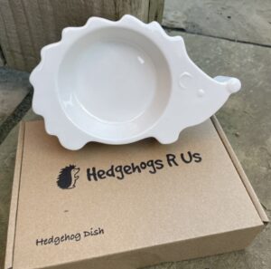 hedgehog bowl