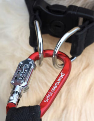 Heavy duty D ring with a lockable dog collar and combination lock lead carabiner is anti-theft