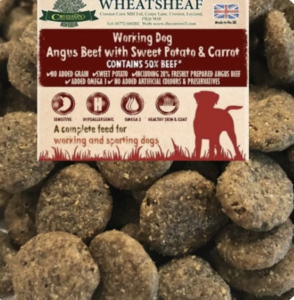 what is the best grain free dog food