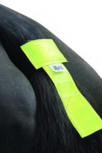 high visibility for horses. 