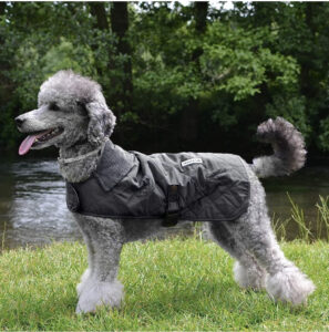 Quilted coats from hound & yard. Good quality dog coats