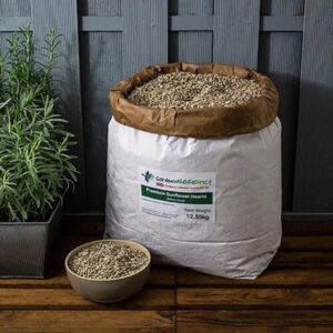 buy bulk sunflower seeds