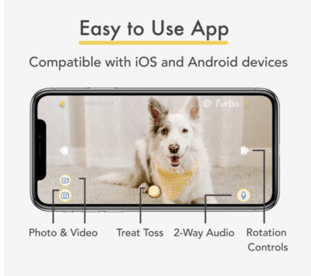Watch your dog at when away from your smart phone
