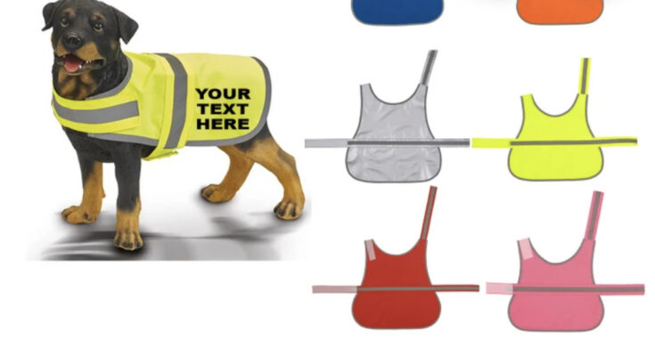 hi viz dog coat. nervous dog reactive dog coat