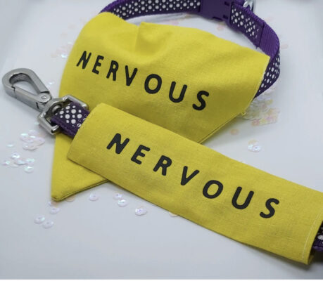 nervous dog warning bandanna and lead wrap