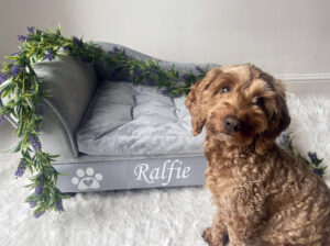 Chaise lounge dog bed