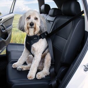 Car crash tested safety harness dog seat belt