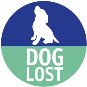 dog lost and found UK website. lost stolen missing dogs uk. DogLost.co.uk