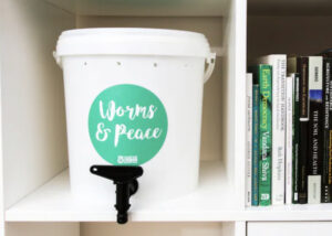 Mini worms farm to create your own plant feed and compost