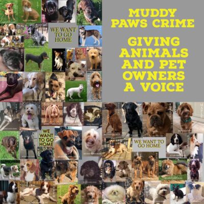Muddy Paws Crime - help to find a missing pet dog -Owner support for a missing pet