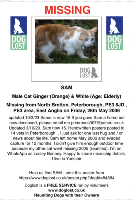 Found, lost, deceased ginger and white cat, Peterborough, north Bretton. 2006 found cat