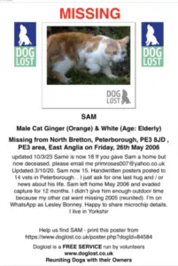 Found, lost, deceased ginger and white cat, Peterborough, north Bretton. 2006 found cat