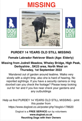 elderly old black lab aged 14 lost from Jodrell Meadows, Whaley Bridge, High Peak, Derbyshire, SK23. Black lab wandered out of the garden North west