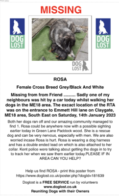 Owner was involved in an RTA and Rosa run off ME18, Claygate, South East, 
