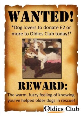 donate £2 to help senior animals in care with the oldies club