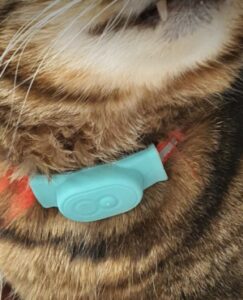 Cat tracker by TabCat