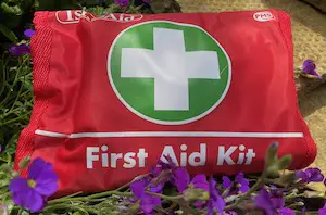 first aid for pets for holidays
