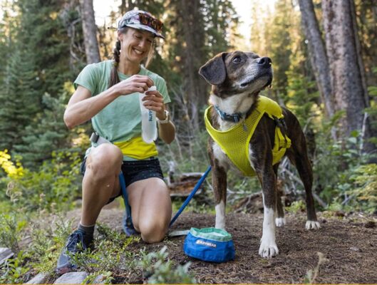 Outdoor adventure dog backpack harness ruffler