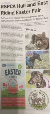 RSPCA Hull in East Yorkshire - adoption day and other events. Events at the rspca