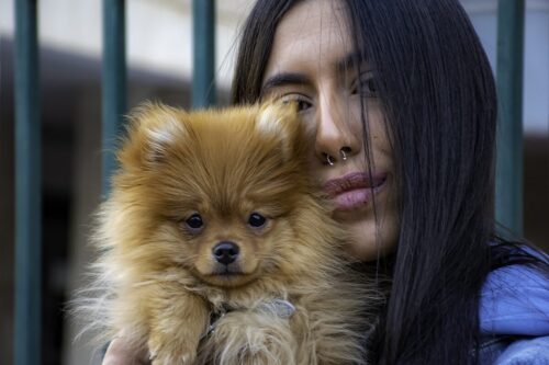 Claires Law Men or woman, with pets, are devalued and imprisoned with domestic abuse