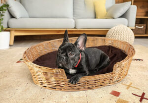 Traditional wicker dog bed