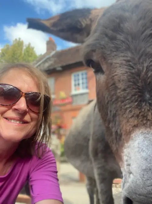 thinking of owning a donkey - how hard is it to own a donkey