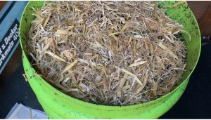 Straw is ideal to insulate composting worms in the winter